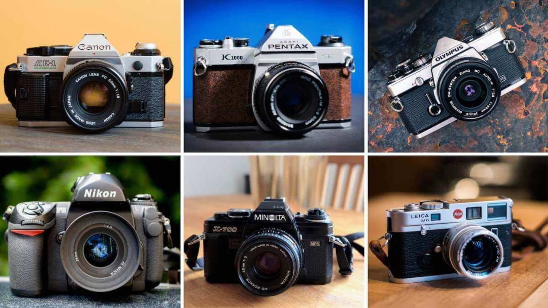 Best Film Cameras for Beginners in 2022: Top Starter Models for Analog Novices